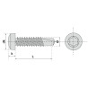 Vis autoperceuse tête cylindrique empreinte torx acier zingue blanc