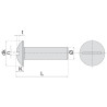 Vis poelier inox A2