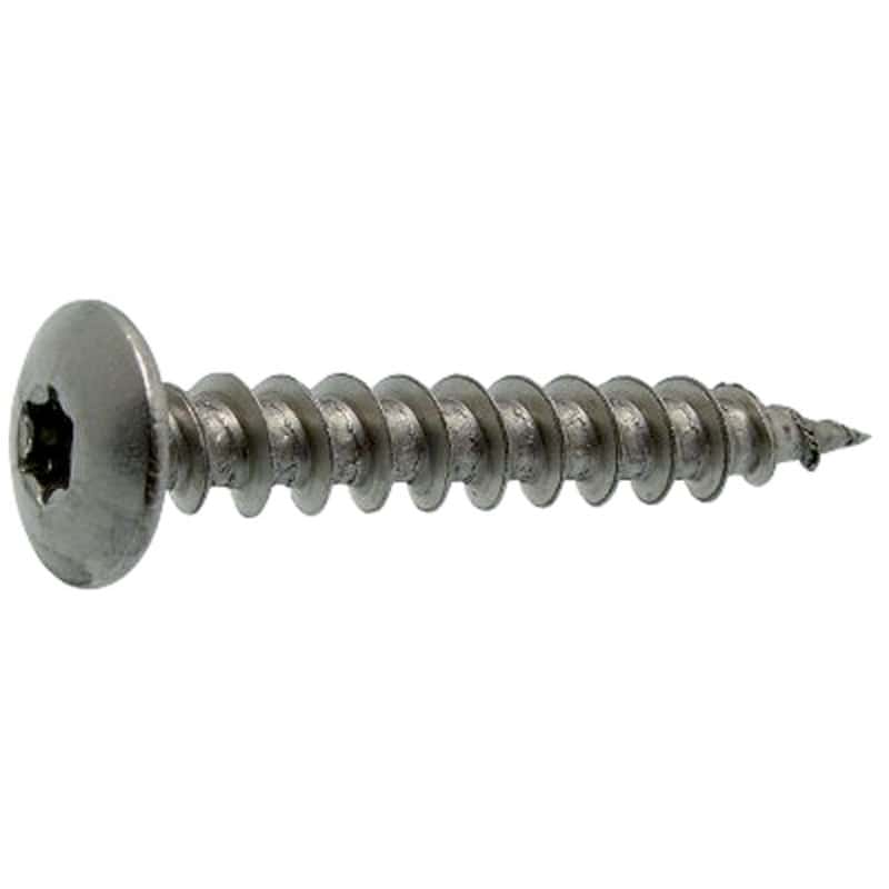 Vis penture tête ronde large empreinte torx inox A2