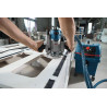 Aspirateur pour solides et liquides GAS 25 L SFC BOSCH