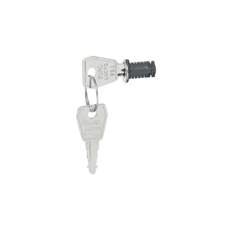5036-serrure-a-cle-pour-coffret-legrand-001966-3245060019662