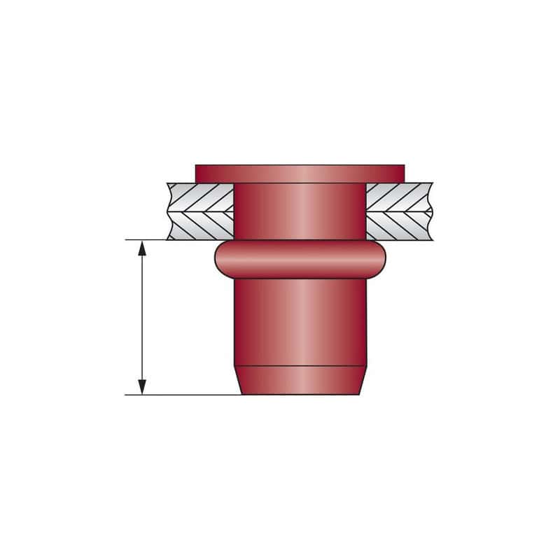 Écrou aveugle tête plate SCELL-IT