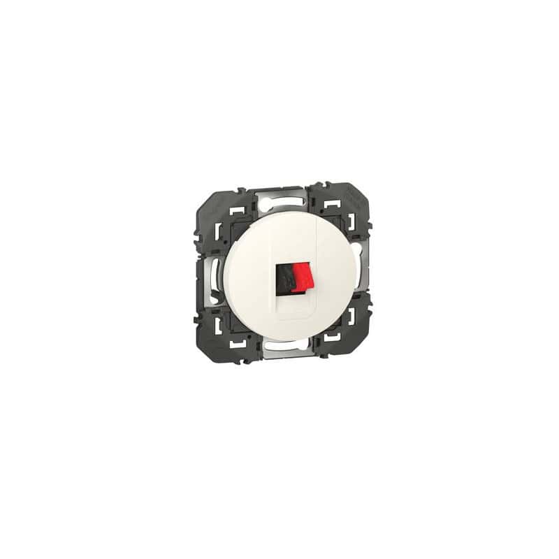 Prise haut-parleur DOOXIE LEGRAND 600381