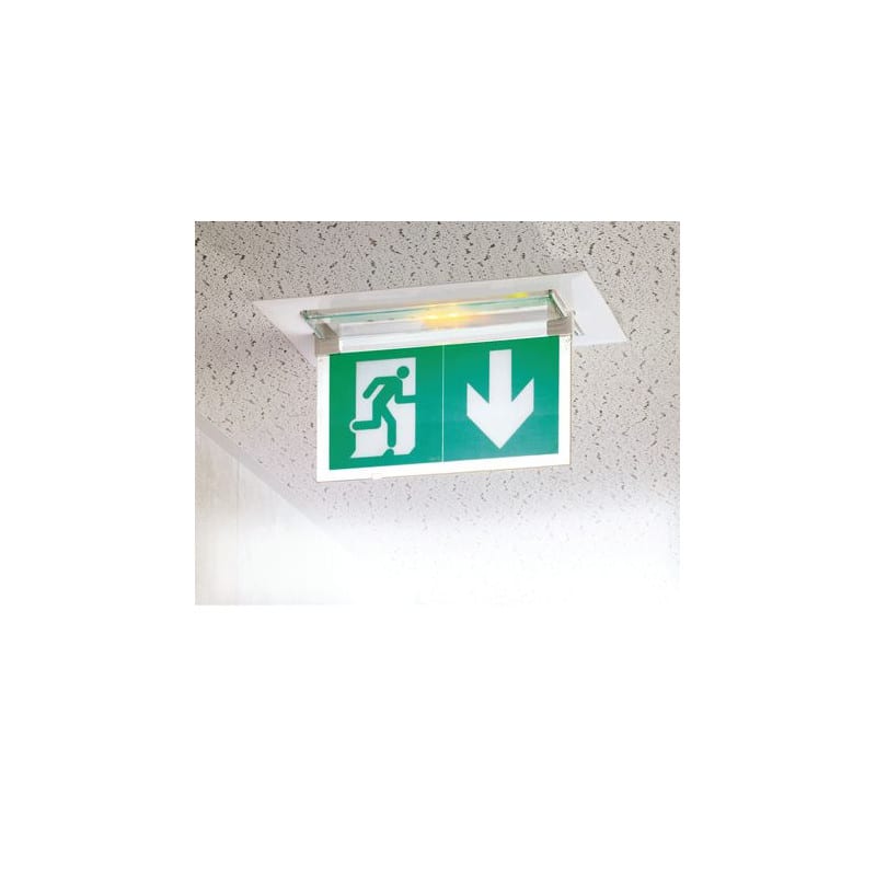 Plaque d'évacuation pour BAES LEGRAND 062675