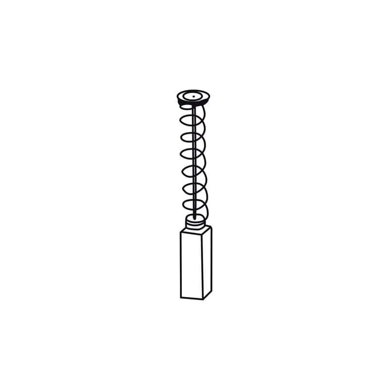Jeu 2 charbons BOSCH 0100