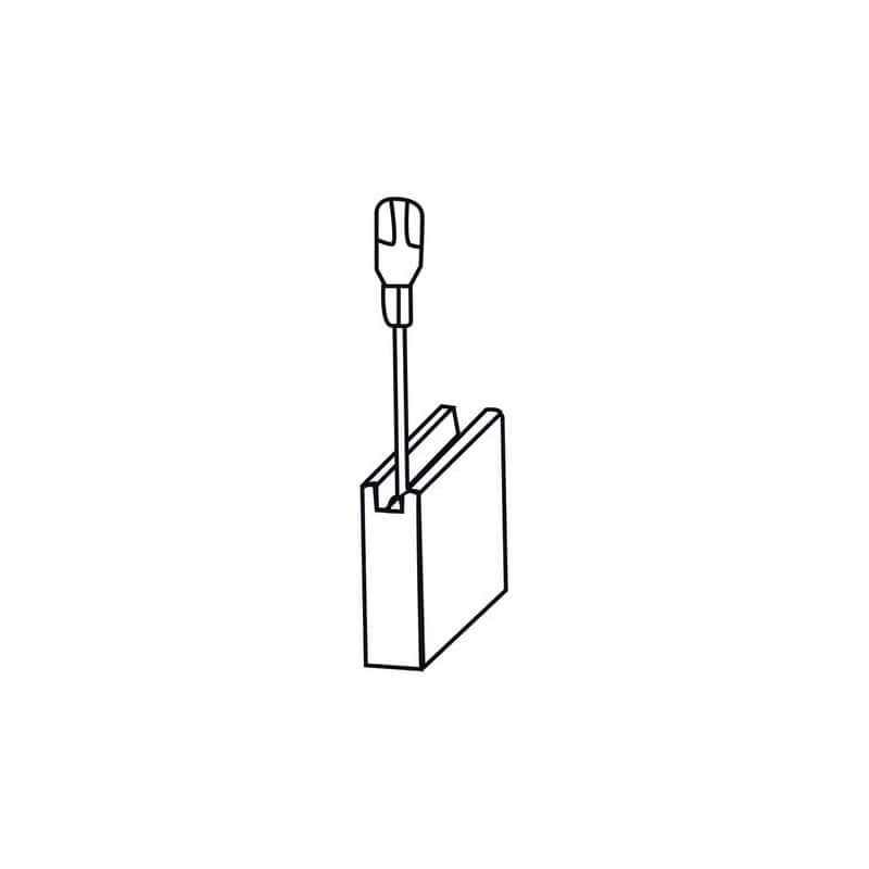 Jeu 2 charbons BOSCH 0169