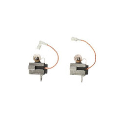 Jeu 2 charbons FESTOOL 494062