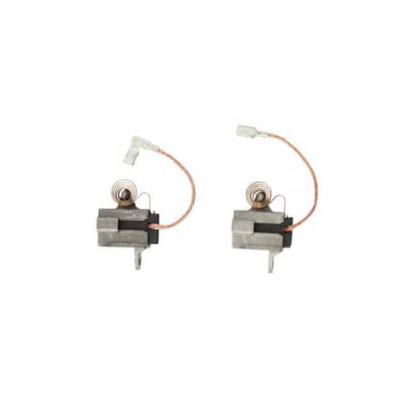 Jeu 2 charbons FESTOOL 494062