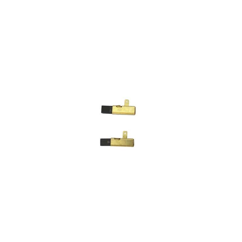 Jeu 2 charbons FESTOOL 488579