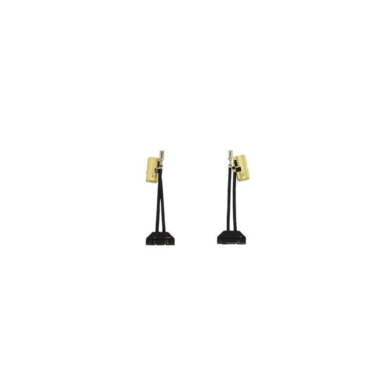 Jeu 2 charbons FESTOOL 490714