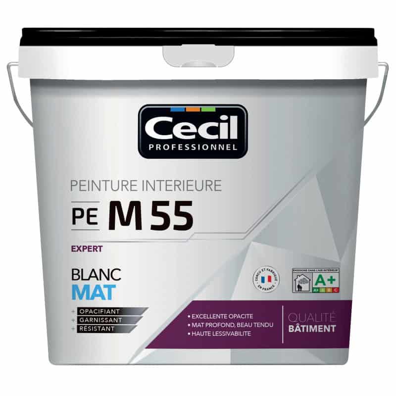 PEINTURE DE FINITION PE M55 MAT