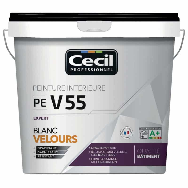 PEINTURE DE FINITION VELOURS PE V55
