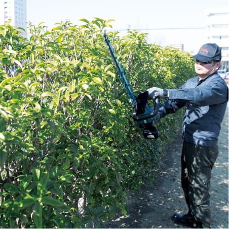 Taille-haie 60 cm 18 V SOLO MAKITA DUH602Z
