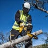 Tronçonneuse DEWALT DCM565N-XJ solo