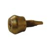 Vis de pareclose autoforeuse 69278