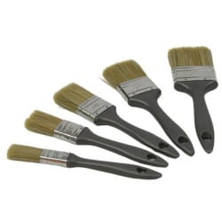 LOT DE 5 BROSSES PLATES