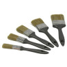 LOT DE 5 BROSSES PLATES