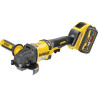 Meuleuse 2.0 XR Flexvolt - 18/54V 6/2Ah - 125 mm DEWALT DCG418T2-QW