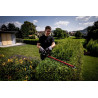 Taille-haies HS 18 LTX 55 SOLO - 18 V 55 cm - METABO 601718850