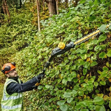 Taille-haie sur perche XR 18 V SOLO DEWALT DCMPH566N-XJ