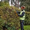 Taille-haie XR 18 V SOLO DEWALT DCMHT563N-XJ