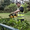 Taille-haie XR 18V SOLO DEWALT DCM563PB-XJ