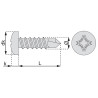 Vis autoperceuse tête cylindrique empreinte phillips acier zingue blanc