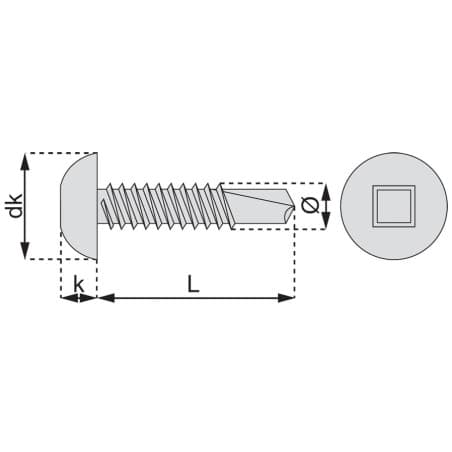 Vis autoperceuse tête cylindrique carrée acier zingue blanc