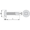 Vis autoperceuse tête cylindrique carrée acier zingue blanc