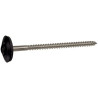 Vis de rive tête fraisée bombée six lobes inox laqué noir 9005