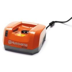 Chargeur batterie C500X 36V...