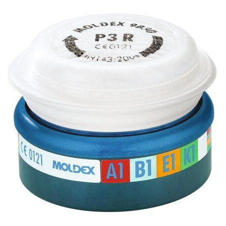 Lot de 6 filtres A1B1E1K1P3 + 1 demi-masque série 7000 offert 700201 + 943001 MOLDEX