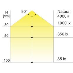 Spot rectangle Lucky 5 12 V...