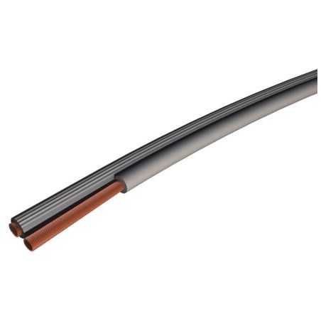 Câble haut-parleur CABHP200