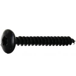 Vis penture TORN® acier...