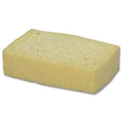Eponge bordée