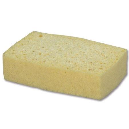 Eponge bordée
