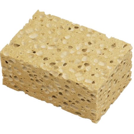 Eponge végétale