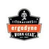 ERGODYNE