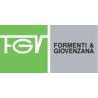 FGV